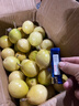 张小壮百香果 黄金果 广西钦蜜9号黄金百香果9号新鲜生鲜白香果水果 精选4.5-5斤约45-55个 实拍图