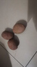 【真便宜】红皮土豆高原黄心土豆马铃薯红皮黄心洋芋 蔬菜水果 红皮土豆 9斤 单果1-3两 实拍图