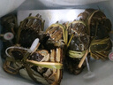【活蟹】蟹宗鲜活大闸蟹螃蟹现货全母4.0-4.3两8只去绳足重生鲜海鲜礼盒节日送礼礼品 实拍图