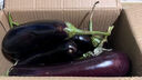 山东新鲜绿把紫皮长茄现摘现发新鲜嫩茄新鲜时令蔬菜生鲜 新鲜绿把紫茄 1斤 现摘现发 实拍图