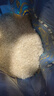 瑶珍香米10斤 老稻种香米 25年新米 大米 猫牙米 绿色食品认证 真空装 实拍图