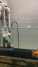 彻朗静音水泵鱼缸潜水泵循环泵底吸泵海水缸小型家用过滤抽水泵25w 实拍图