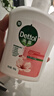 滴露（Dettol）洗手液消毒抑菌滋润500g+500g补充装儿童家庭护手替换 实拍图