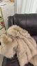MSBEAST野兽小姐 saga皇冠狐狸毛 莼工晕染立领廓形皮草外套女丨朦胧妙想 晕染米驼色 M 实拍图