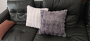 兔毛泡泡绒抱枕沙发高级感客厅靠枕办公室靠背秋冬季床头靠垫 兔毛绒-月光灰 45cm*45cm 枕套 +枕芯 实拍图