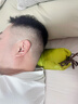 艾慕笙护颈颈椎枕艾草枕头颈椎病专用深度睡眠肩颈椎热敷电加热长辈礼物 实拍图