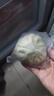 西贝莜面村牛肉粉条包子640g 2袋装共8个装  儿童早餐速食包子  生鲜面点 实拍图