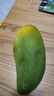 庾丰 芒果新鲜水果生鲜整箱当季大青皮芒 热带孕妇芒果 10斤装(净果8.5-9斤)单果200克起 实拍图