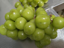 京鲜生 阳光玫瑰葡萄 青提2-2.5斤装 单果约10g 生鲜水果 实拍图