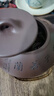 藏壶天下宜兴紫砂壶纯手工刻绘茶壶石瓢壶家用功夫泡茶壶茶具兰趣石瓢壶 兰趣石瓢（单壶） 210ml 实拍图