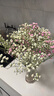 爱满（AIMAN）满天星天然干花花束ins网红生日 新房装饰摆件风干真插花家居摆设 白+粉满天星 【不带花瓶】 实拍图