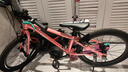 Nabiis那贝斯儿童自行车青少年6-7-10-12岁超轻铝合金学生单车20寸粉 晒单实拍图