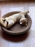 疯狂的主人猫抓板窝碗形大号猫抓盆不掉屑猫窝宠物猫玩具瓦楞纸猫爪板 实拍图