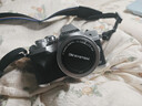 奥林巴斯（OLYMPUS）E-M10 MarkIV EM10四代 微单相机 数码相机 微单套机（14-42mm F3.5-5.6）银色 实拍图