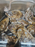 贝司令 鲜活乳山生态生蚝6XL 净重9斤 12-16只 生鲜源头直发  实拍图