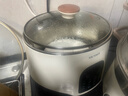 天际（TONZE）电炖锅 隔水炖锅 电炖盅 煲汤锅炖汤锅煮粥锅燕窝养生锅 不锈钢隔水炖盅政府补贴 GSD-253GD 2.5L 实拍图