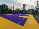 唯品胜（wpsn）悬浮地板篮球场地垫室外羽毛球场地胶垫幼儿园拼接防滑塑胶地板 【免费寄样、免费设计】 实拍图