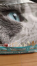 亿迪猫粮全价成猫幼猫冻干全阶段5斤布偶蓝猫英短橘猫通用小包装2.5kg 实拍图