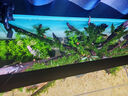 吉印刀锋s鱼缸灯led灯防水全光谱鱼缸照明灯水草灯小型超白鱼灯76cm 实拍图