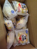 港荣蒸蛋糕淡糖450g小面包蛋糕早餐饼干休闲西式糕点纯蛋糕甜品礼物盒 实拍图