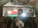 樱雪（INSE）煤气灶燃气灶液化气单灶台式 4.5kw大火力单眼灶 家用猛火煤气炉不锈钢灶具 JZY-T1501(G)W液化气 实拍图