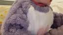 小猪大卫 PECODAVID珊瑚绒套装秋冬儿童室内居家服男女可爱分体套装毛毛款 粉色你好女孩 90 版型宽松，按正常尺码拍 实拍图