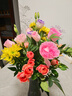 京东鲜花(月华绮梦)-昆明鲜花基地直发玫瑰花百合花多头花束鲜花源头直发 实拍图