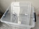 禧天龙塑料衣物收纳箱玩具整理箱车载储物箱55L 透明 1个装 带轮 实拍图