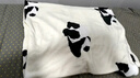 野兽派家居（tbh）熊猫嘭嘭二合一法兰绒暖香毯/抱枕四季客厅沙发盖毯车载抱枕毯子 二合一法兰绒暖香毯/抱枕 60cm*40cm 抱枕,毯子120*150cm 实拍图