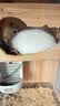 jolly pet products兔子水果干蔬菜干零食龙猫仓鼠荷兰猪零食小宠小食小吃 Jolly燕麦片 200克 JP242 实拍图
