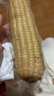 京鲜生东北白玉米200g*8棒 真空包装粘玉米 源头直发 实拍图