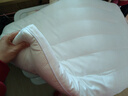 南方生活五星级酒店超薄低枕头睡眠深度矮枕A类软枕男女家用颈椎硬枕头 低枕-木棉花（单只装） 实拍图