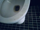 潜水艇（Submarine）NM-4马桶法兰圈高弹塑胶材质座便坐厕密封圈防臭防渗漏坐便器配件 实拍图