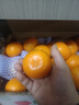 京鲜生 无核蜜桔 精选5斤装橘子/桔子  单果100g+ 生鲜水果礼盒 实拍图