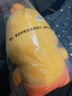 威尔通（WELTSTON）毛绒玩具布娃娃卡皮巴拉玩偶抱枕生日新年礼物礼品女水豚噜噜公仔 实拍图