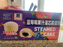 港荣蒸蛋糕蓝莓夹心480g早餐面包零食纯蛋糕中西式糕点心甜品礼品物盒 实拍图
