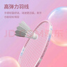 匹克羽毛球拍对拍碳复合耐打成人学生套装训练比赛拍 3311紫色/彩兰 实拍图