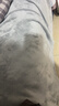 雅鹿·自由自在床单冬季加绒1.5/1.8x2米床牛奶绒被单毛绒双人单件230*245月光灰 实拍图