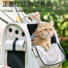 阿柴与猫猫包外出便携超大号双肩背包猫咪狗狗宠物包手提车载笼可折叠猫袋 实拍图