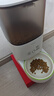 霍曼（Homerun）Real智能自动喂食器猫粮狗粮定时猫咪自动投食机（不锈钢碗） 实拍图