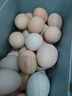 德青源PLUS联名款A+级鲜鸡蛋32枚2.74斤无抗生素 源头直发 1件包邮 实拍图