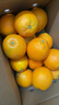 江西赣南早脐橙整箱当季新鲜早橙子榨汁水果礼盒皮薄多汁节日团购 【90%人选】净重9斤单个200g+ 实拍图
