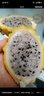 裕农叔【顺丰JD】燕窝果麒麟果孕妇水果黄色火龙果海南中秋节礼品送礼 3斤精品中果（单果100-150g） 实拍图