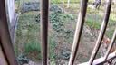 霸天安 4g家用摄像头手机远程监控无线wifi超高清监控器360度无死角带夜视全景语音室内旋转可对话 【4G免充值】无需WiFi宽带++7天循环录像 实拍图