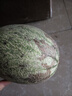 京鲜生 海南哈密瓜 西州蜜/西周蜜 1粒装 单果2.5斤起 生鲜水果 实拍图