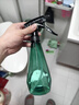 得力（deli）喷水壶喷雾器消毒 园艺浇花雾化细腻盆栽花卉厨房清洁水柱/雾状 实拍图