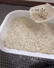 洁客 豆腐膨润土混合猫砂除臭结团懒人猫砂2.5kg*8袋共20kg整箱装 实拍图