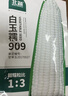 北蔬 白甜糯玉米种子种苗早熟超甜大棒型 白玉糯909玉米种子200g 实拍图