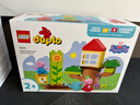 乐高（LEGO）积木拼装得宝10431 小猪佩奇树屋男孩女孩儿童玩具生日圣诞礼物 实拍图
