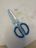 得力（deli）儿童剪刀安全手工鲨鱼小剪刀圆头包边小学生一年级美工剪刀文具幼儿园3-6岁 蓝色6085 实拍图